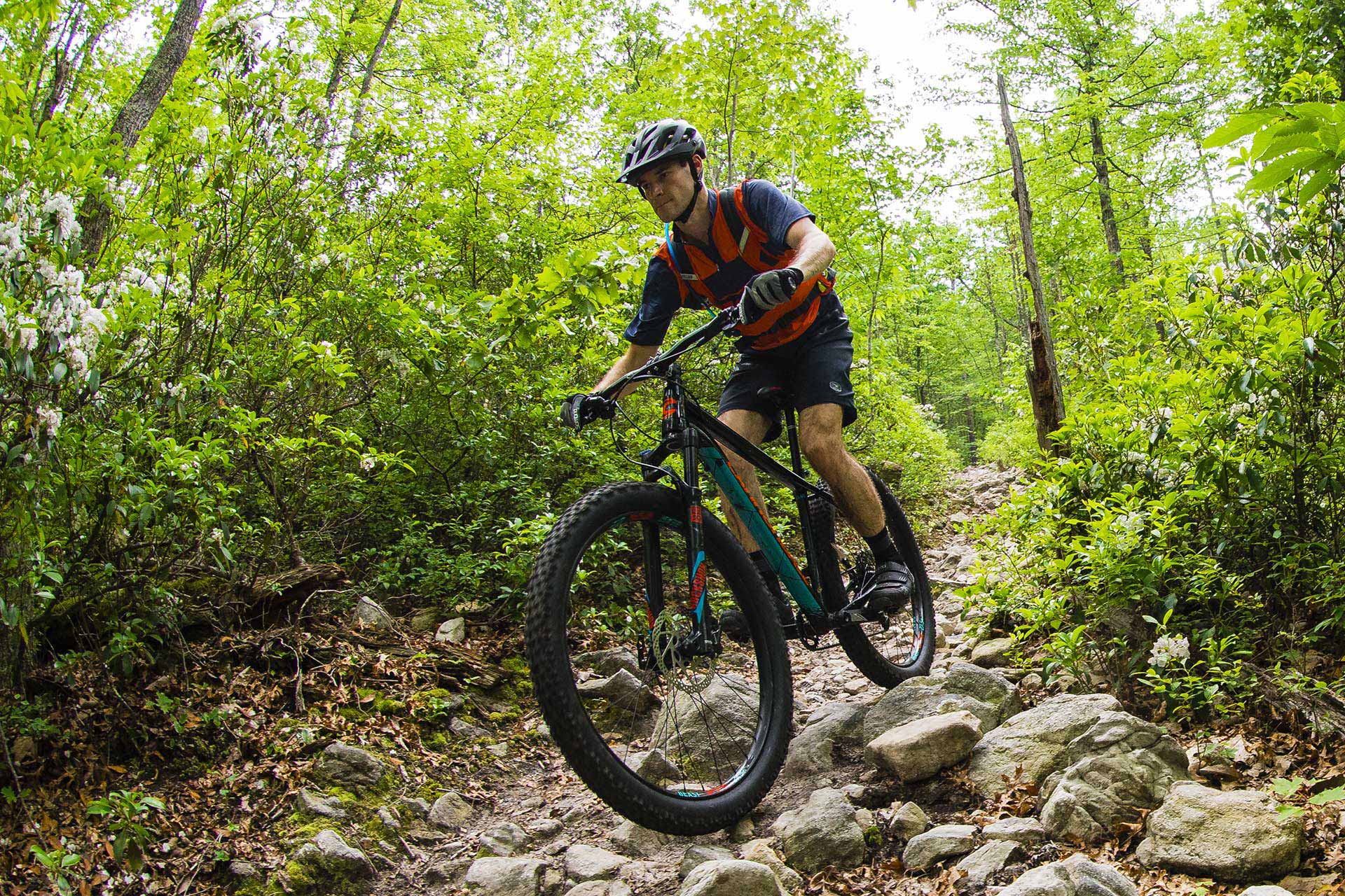 Cujo 1 CANNONDALE Bicycles Česká a Slovenská republika