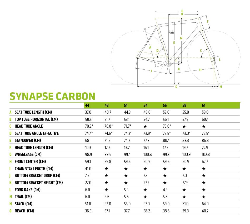 synapse carbon disc apex 1 se