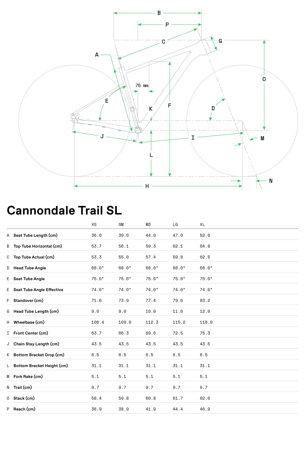 Trail Womens SL 4 - Geometrie
