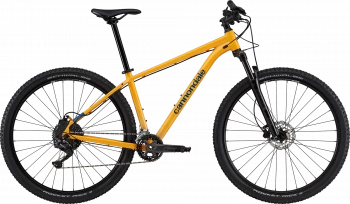 Trail 5 - Mango