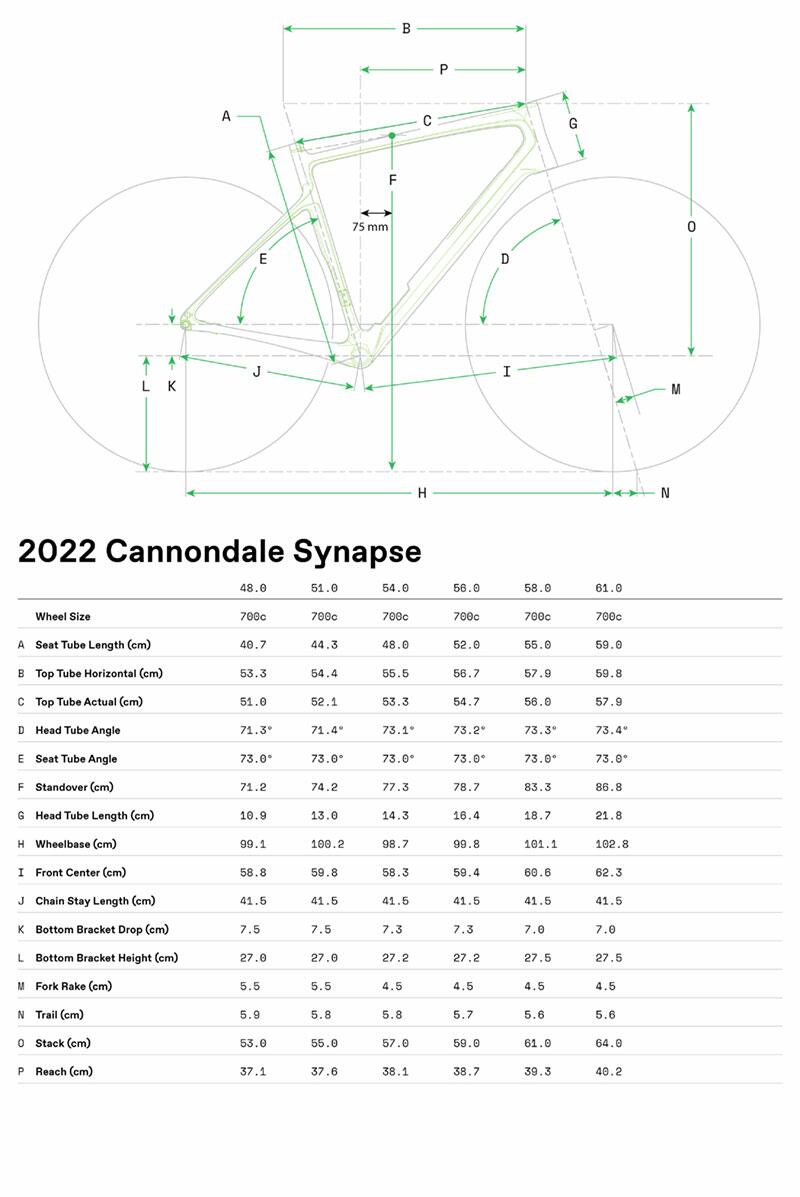 Synapse Carbon 2 RLE - Geometrie