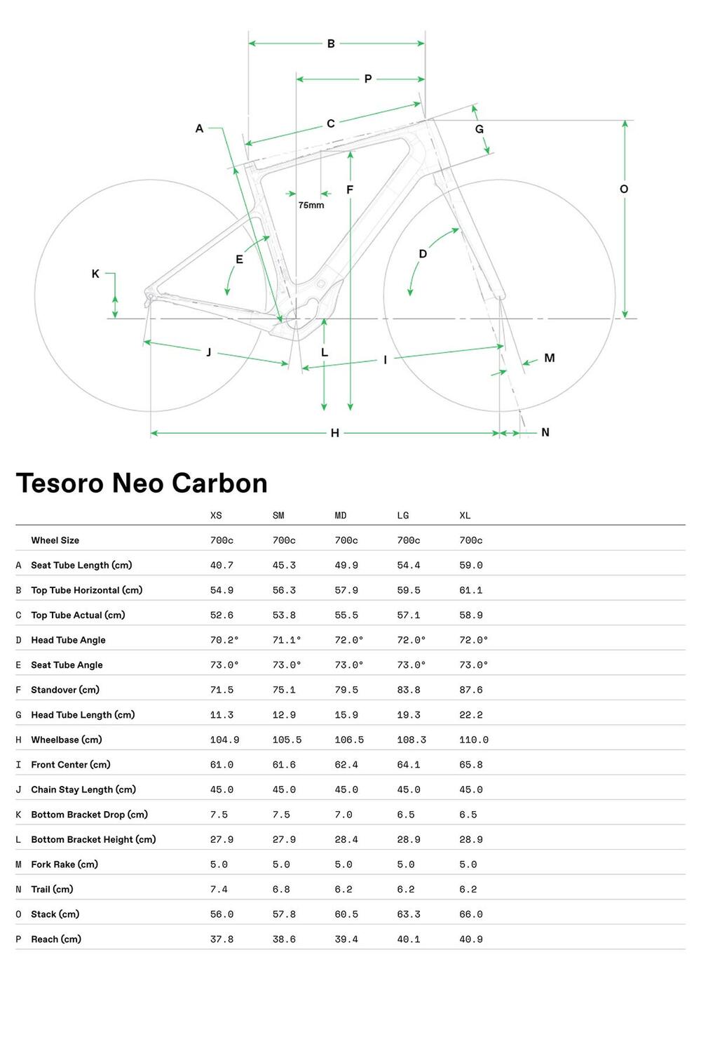 Tesoro Carbon 2 - Geometrie