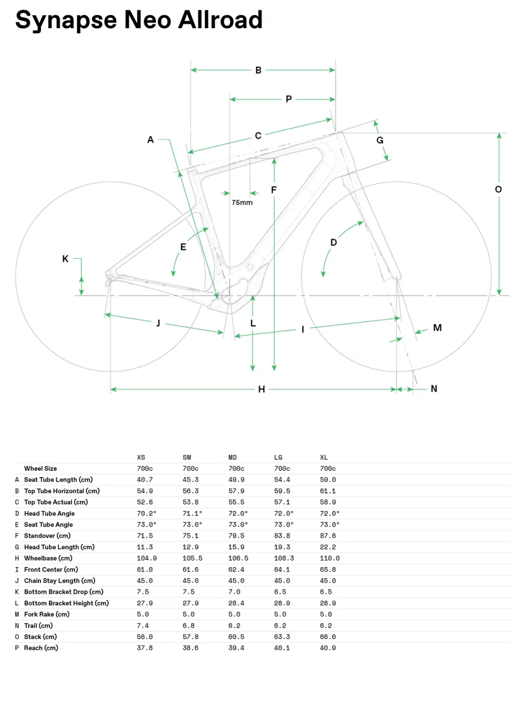 Synapse Neo Allroad 1 - Geometrie