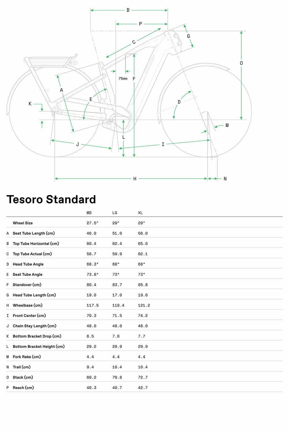 Tesoro 1 - Geometrie