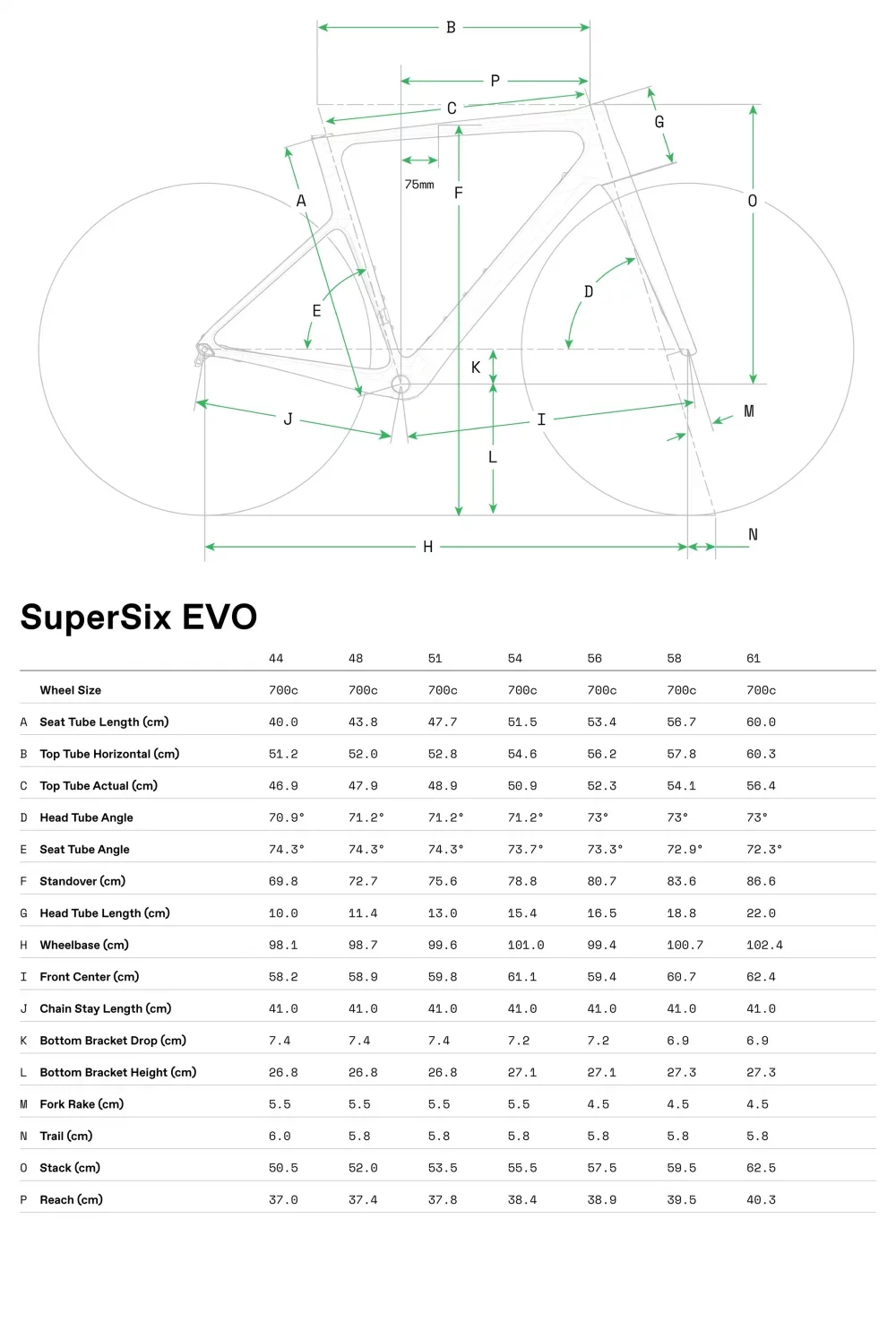 SuperSix EVO 1 - Geometrie