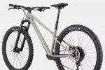Habit HT 1 - Tiger Shark