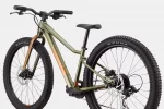 Kids Trail Plus 24 - Mantis