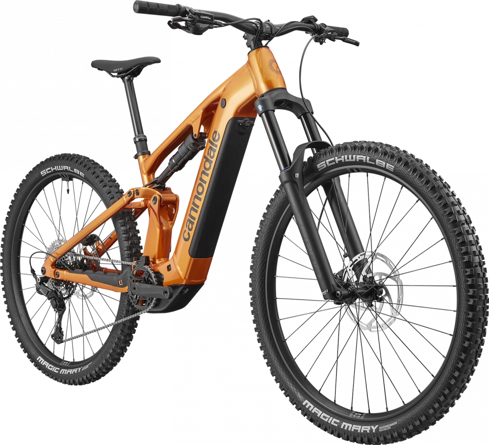 Moterra 4 - Tiger Eye