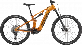 Moterra 4 - Tiger Eye