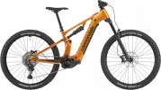 Moterra 4 - Tiger Eye