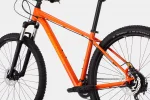 Trail 6 - Impact Orange