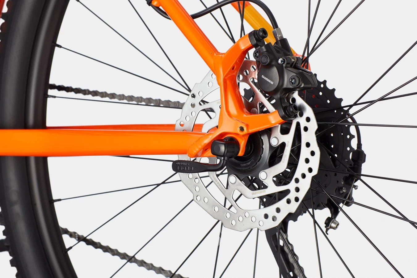 Trail 6 - Impact Orange