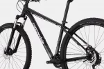 Trail 7 - Black