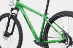 Trail 7 - Green