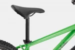 Trail 7 - Green